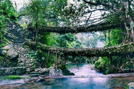 Gangtok Pelling